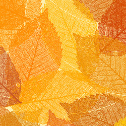 Similar image 1510128