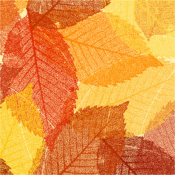 Similar image 1510176