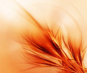 Similar image 1510381