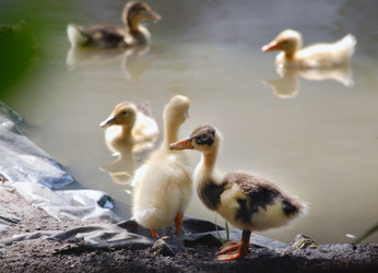 Similar image 1510405