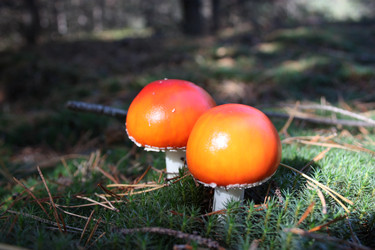 Similar image 1510455