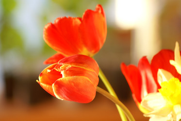 Similar image 1510463