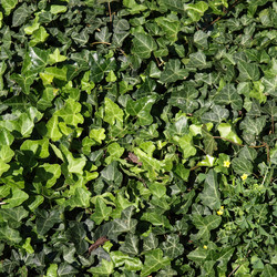 Similar image 1510467