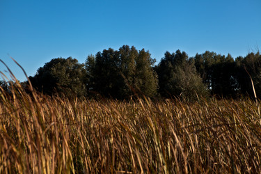 Similar image 1510516