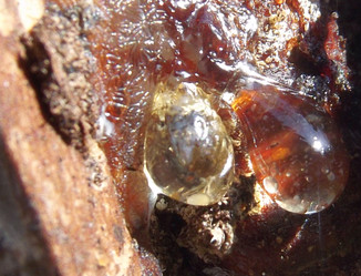 Similar image 1510524