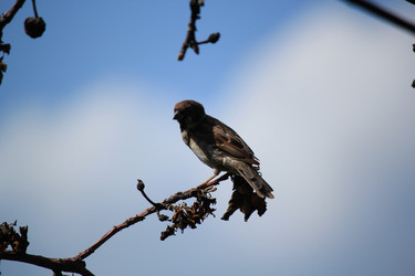 Similar image 1510536