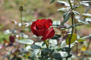 Similar image 1510543