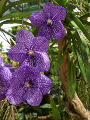 Similar image 1510563