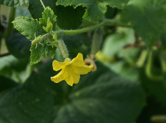 Similar image 1510565