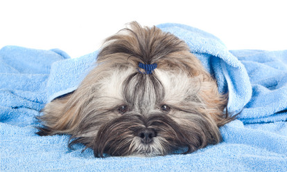 Similar image 1510598