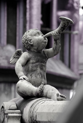 Similar image 1510612