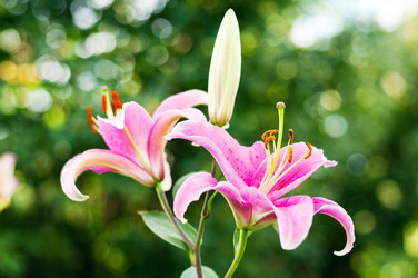 Similar image 1510638