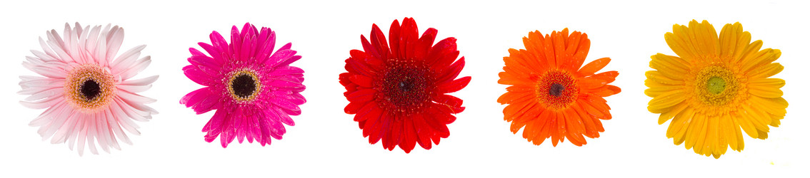 Similar image 1510646