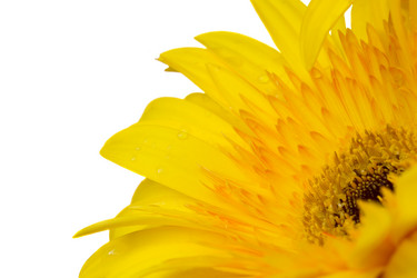 Similar image 1510675