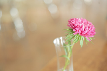 Similar image 1510790