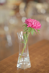 Similar image 1510792