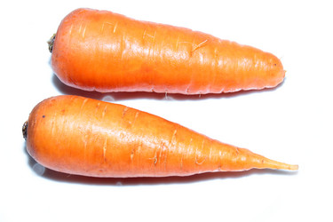 Similar image 1510871