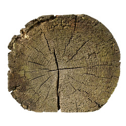 Similar image 1510908