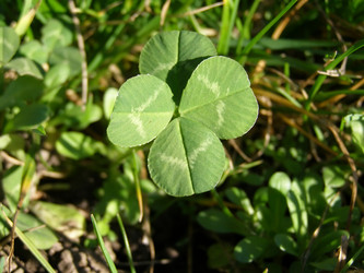 Similar image 1510918