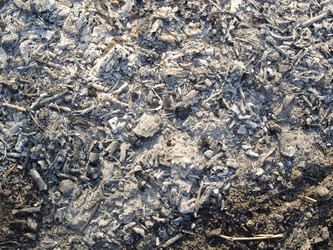 Similar image 1510922