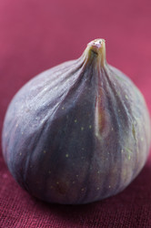 Similar image 1510970