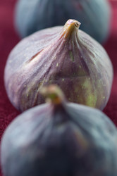 Similar image 1510972