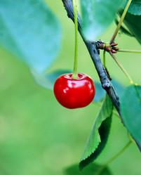 Similar image 1510982