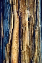 Similar image 1510984