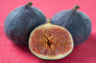 Similar image 1511002