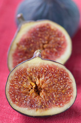 Similar image 1511003