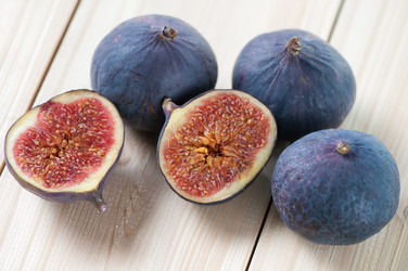 Similar image 1511004