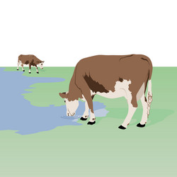 Similar image 1511023