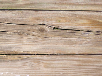 Similar image 1511035