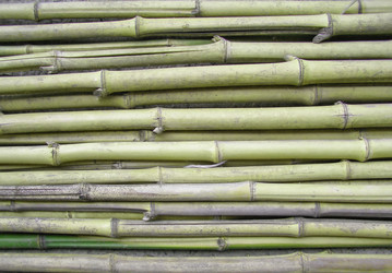 Similar image 1511055