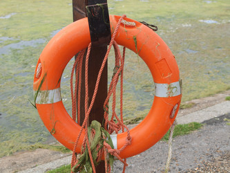 Similar image 1511077