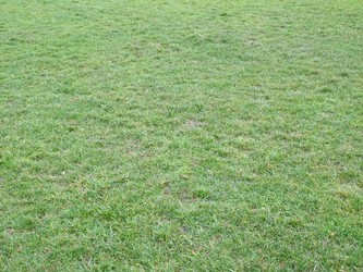 Similar image 1511117