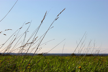 Similar image 1512253