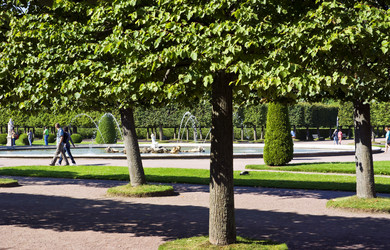 Similar image 1512506