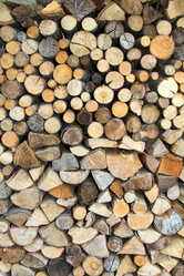 Similar image 1512523