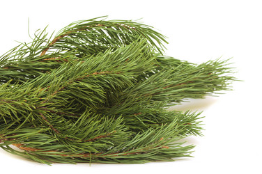 Similar image 1512948