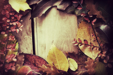 Similar image 1512985