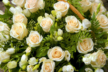 Similar image 1512986