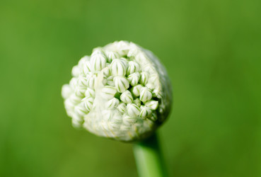 Similar image 1513027