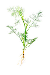 Similar image 1513058