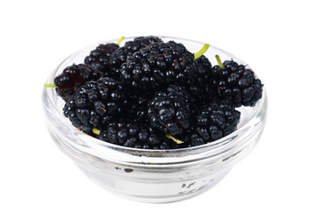 Similar image 1513077