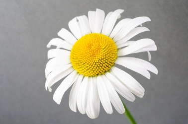 Similar image 1513078