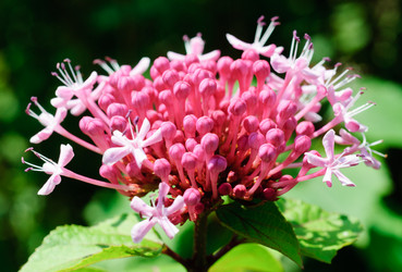 Similar image 1513108