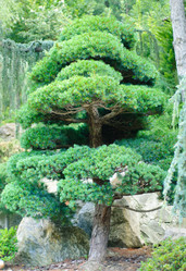 Similar image 1513110