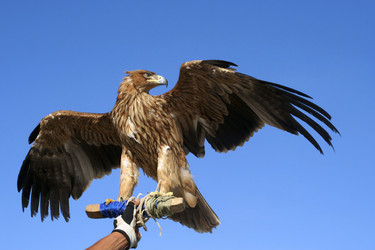 Similar image 1513153