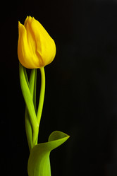 Similar image 1513166